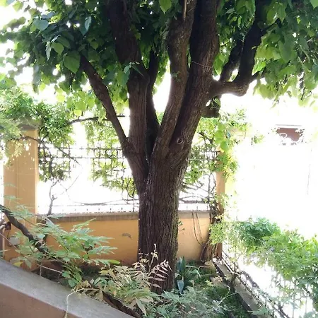 Apartment Tilia Bologna